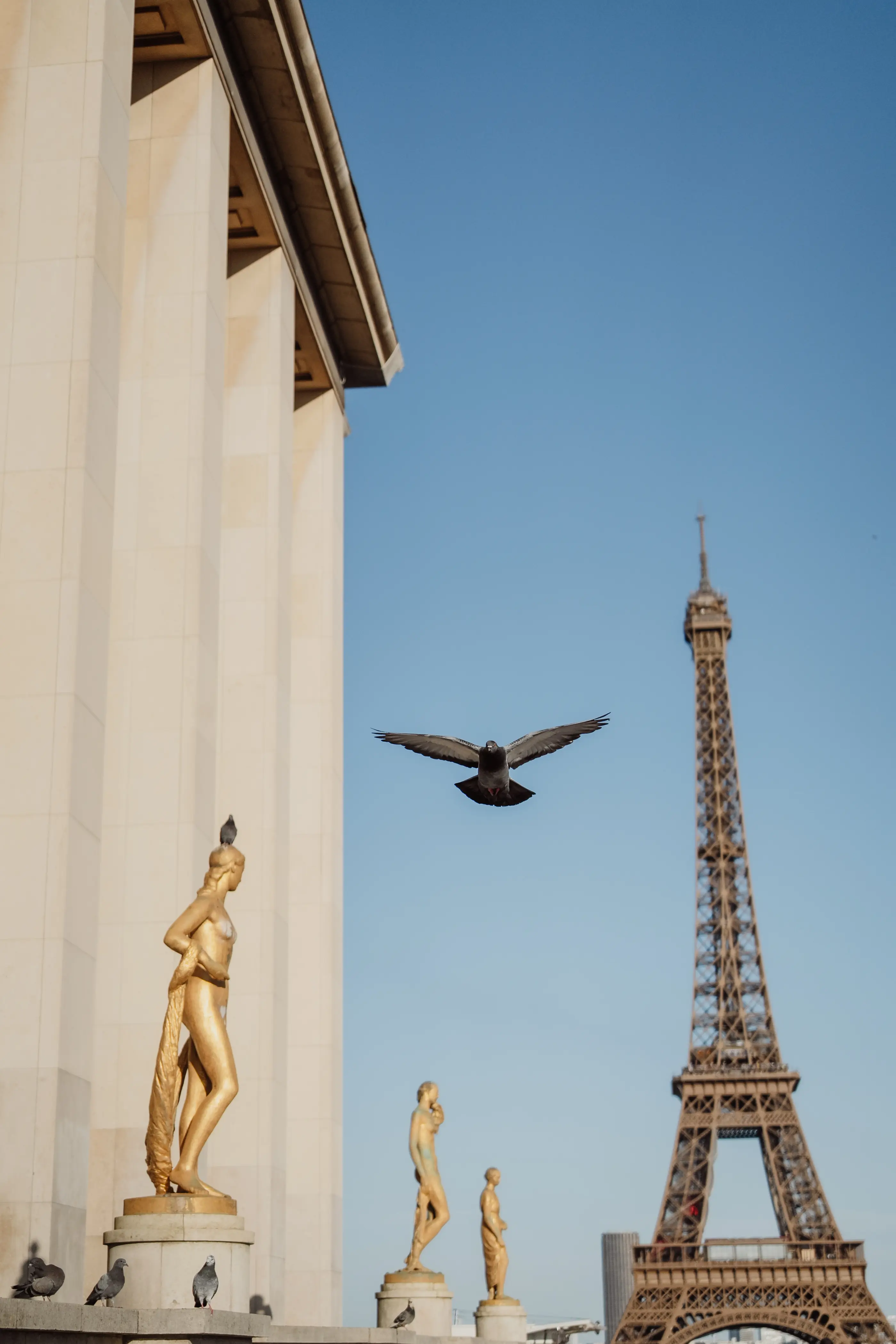 Paris Wedding